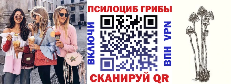 Псилоцибиновые грибы мухоморы  MEGA tor  Белинский 