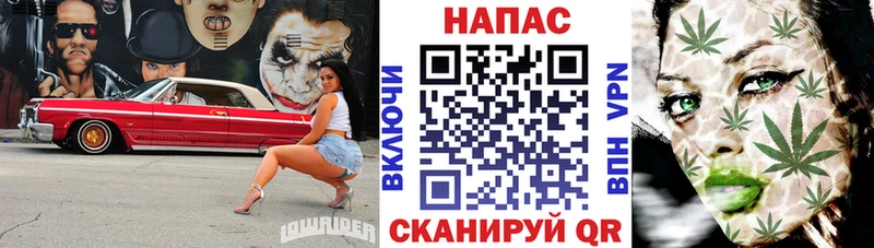 Канабис ГИДРОПОН Белинский